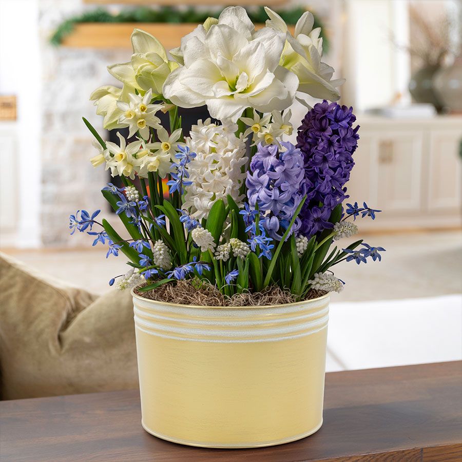 Peaceful Palette Bulb Garden Gift Image