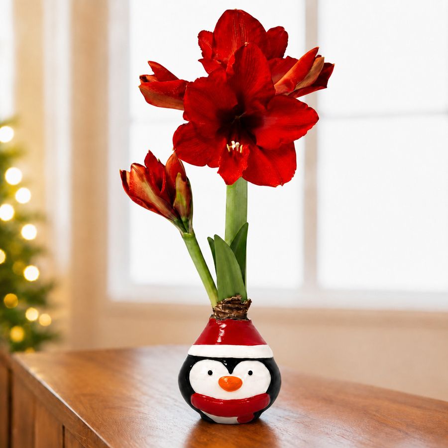 Cheerful Penguin Waxed Amaryllis Gift Image
