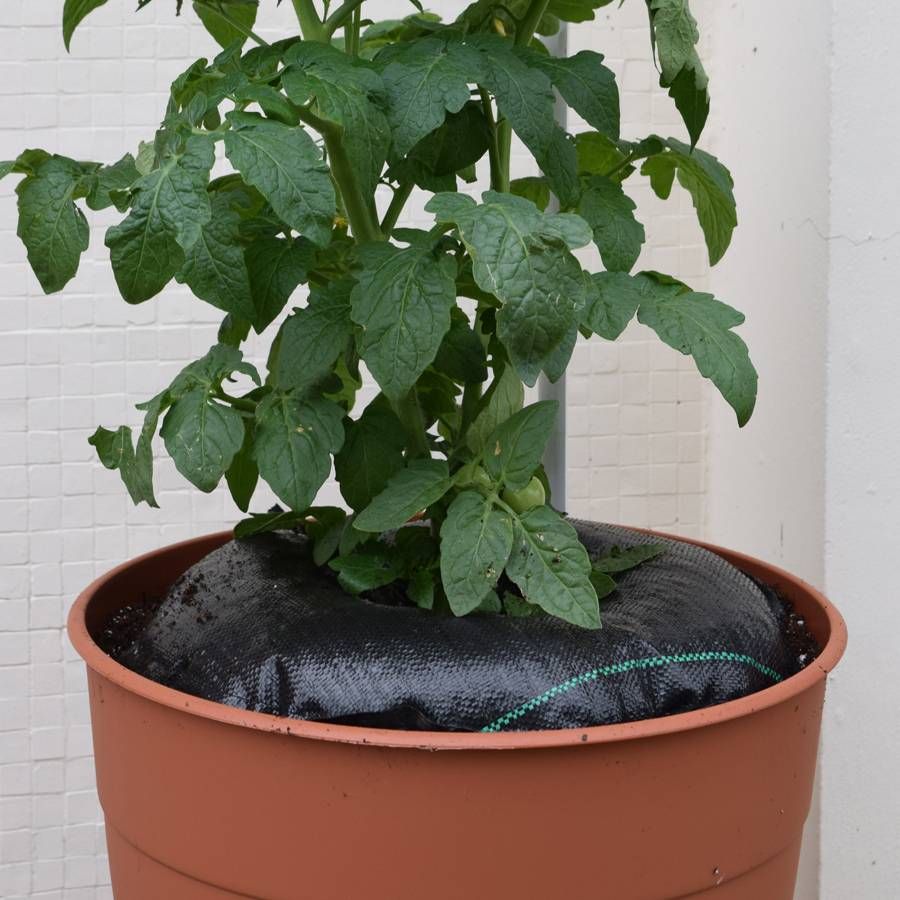 TreeDiaper&reg; 16-inch Image