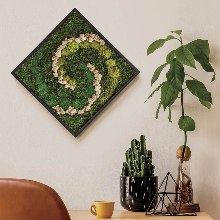 Preserved Moss Wall Art Image