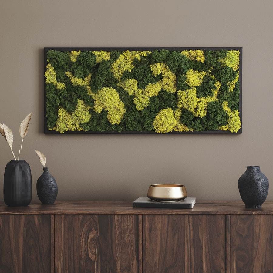 Preserved Moss Wall Art Image