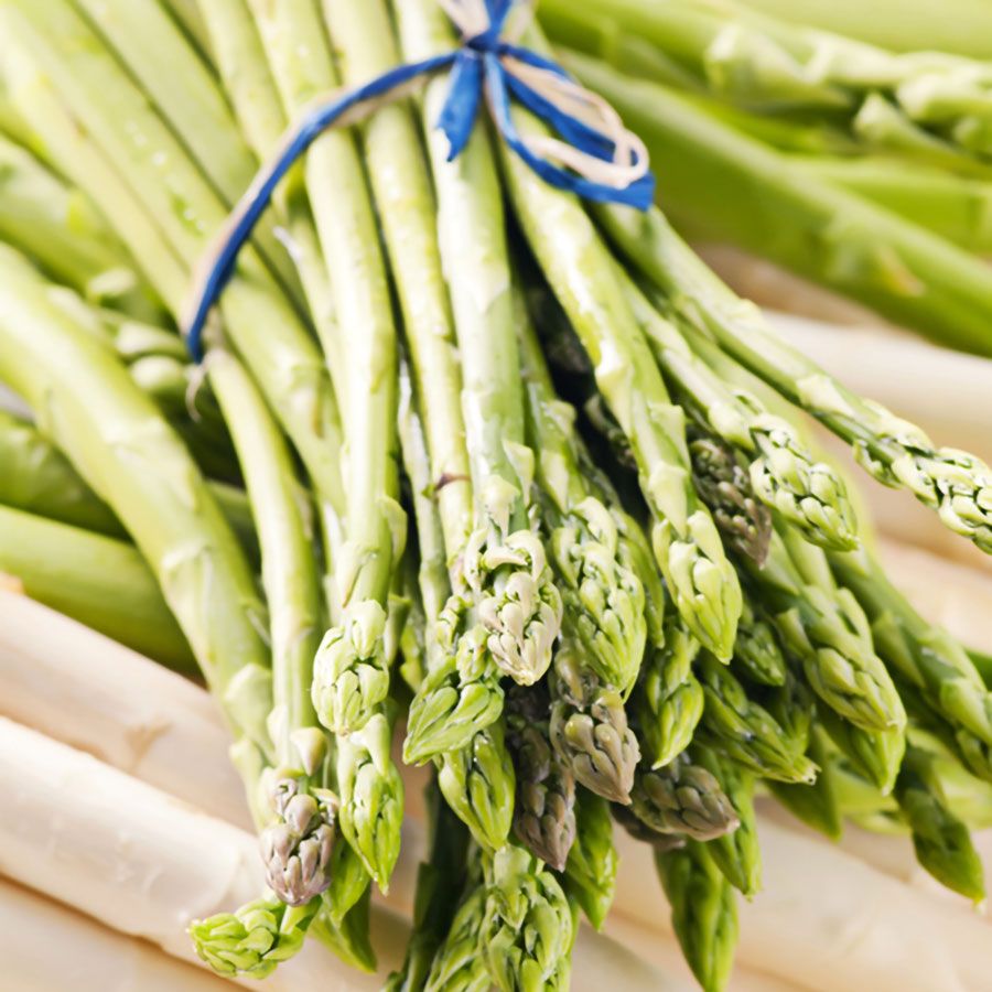 Asparagus 'Jersey Giant' Image