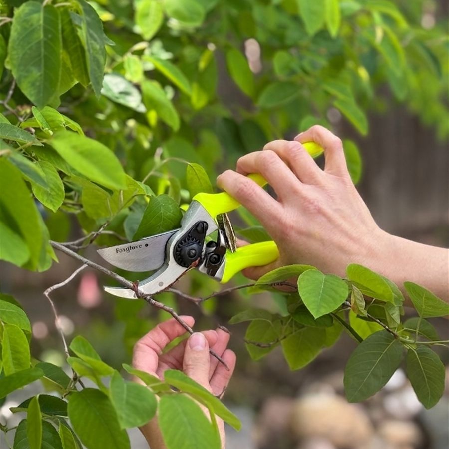 Foxglove High Vis Bypass Pruners Image